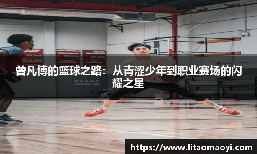 BSports网页版