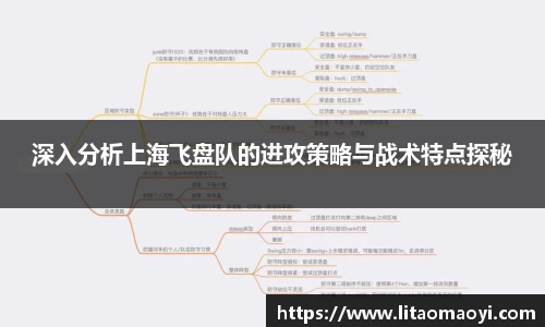 深入分析上海飞盘队的进攻策略与战术特点探秘
